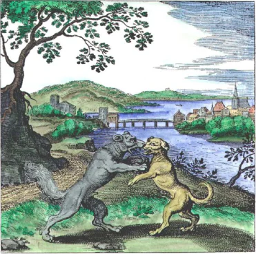 Le chien et le loup gris chez Lambsprinck