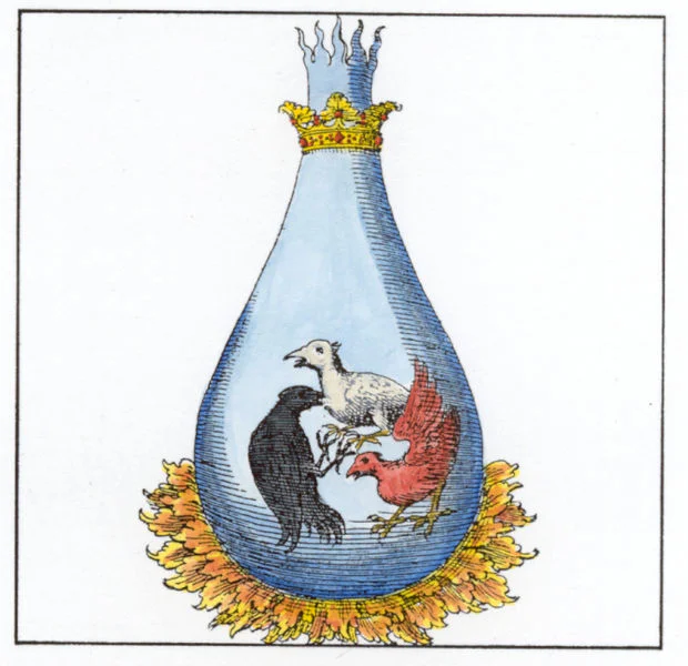 Planche alchimique&nbsp;: vase couronné contenant trois oiseaux de couleurs différentes