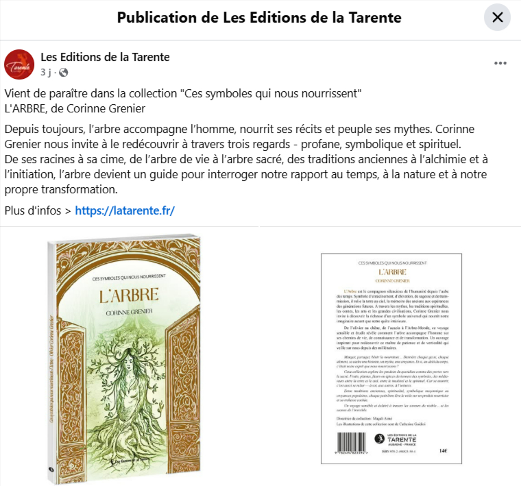 «&nbsp;L’Arbre&nbsp;» de Corinne Grenier – De la racine au ciel, une leçon de verticalité