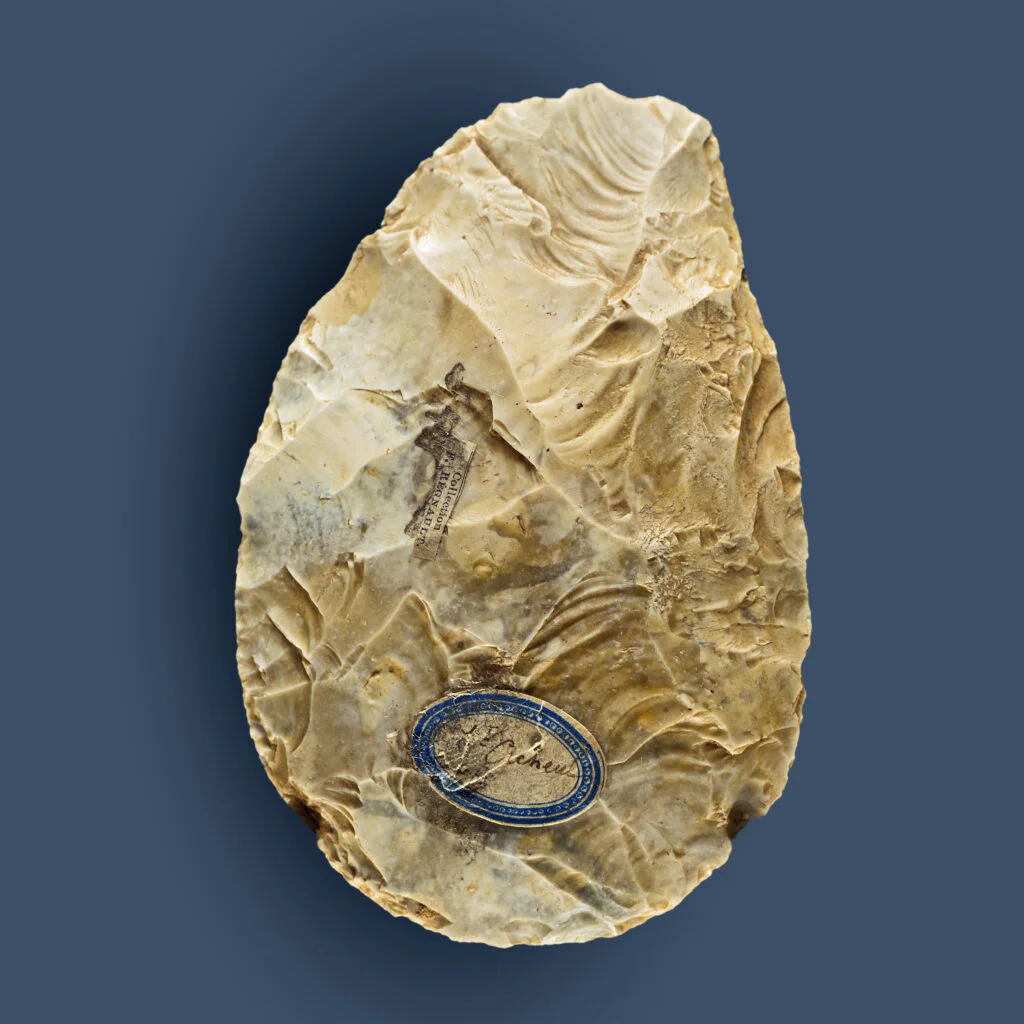 Biface acheuléen de Saint-Acheul, Muséum de Toulouse