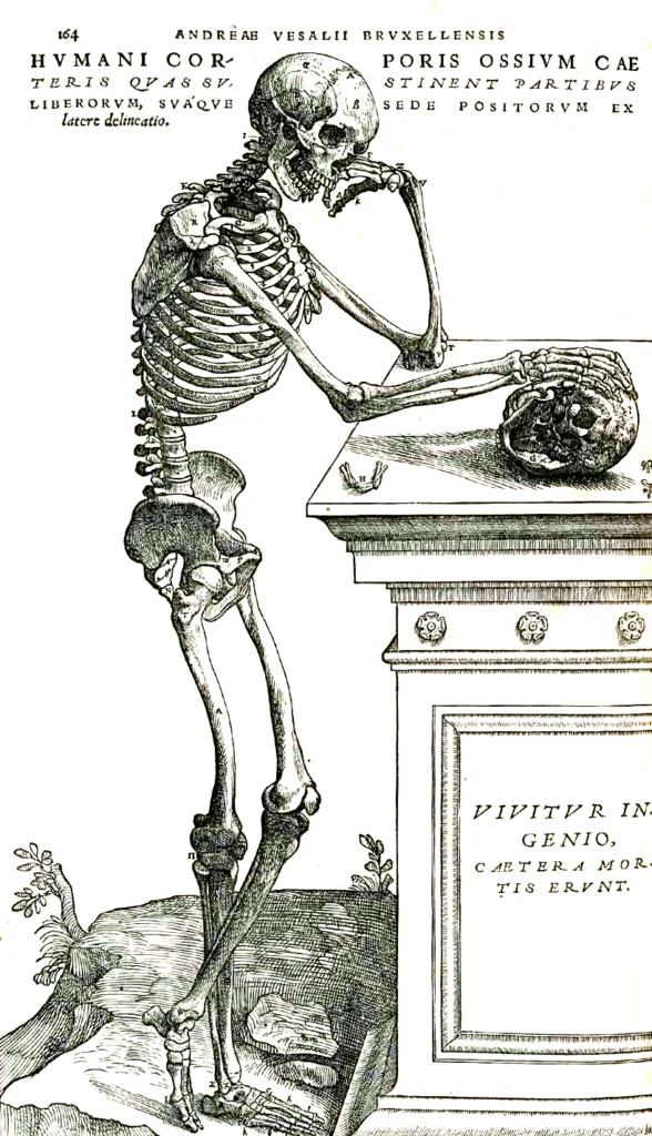 Vésale, De humani corporis fabrica, 1543