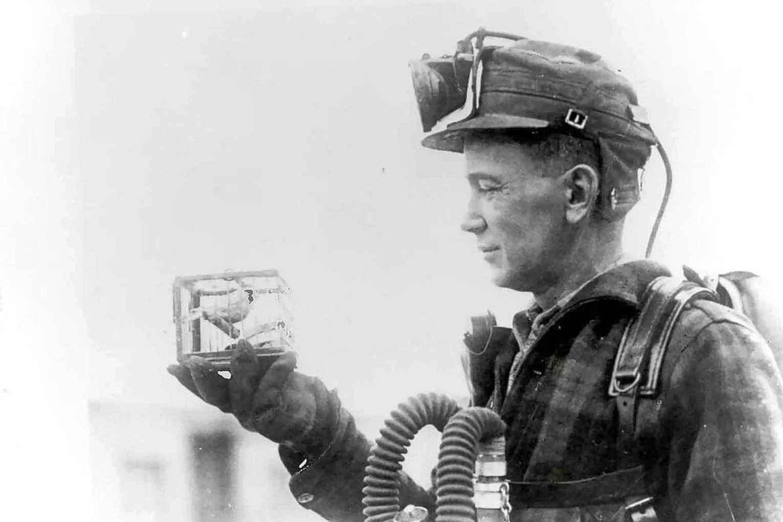 Photographie de 1928 : un mineur américain présente la petite cage d’un canari servant à détecter le monoxyde de carbone.