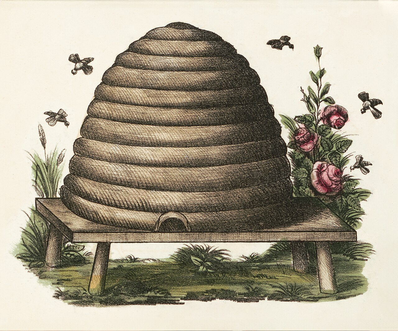Essaimage en franc-maçonnerie – Masonic Beehive