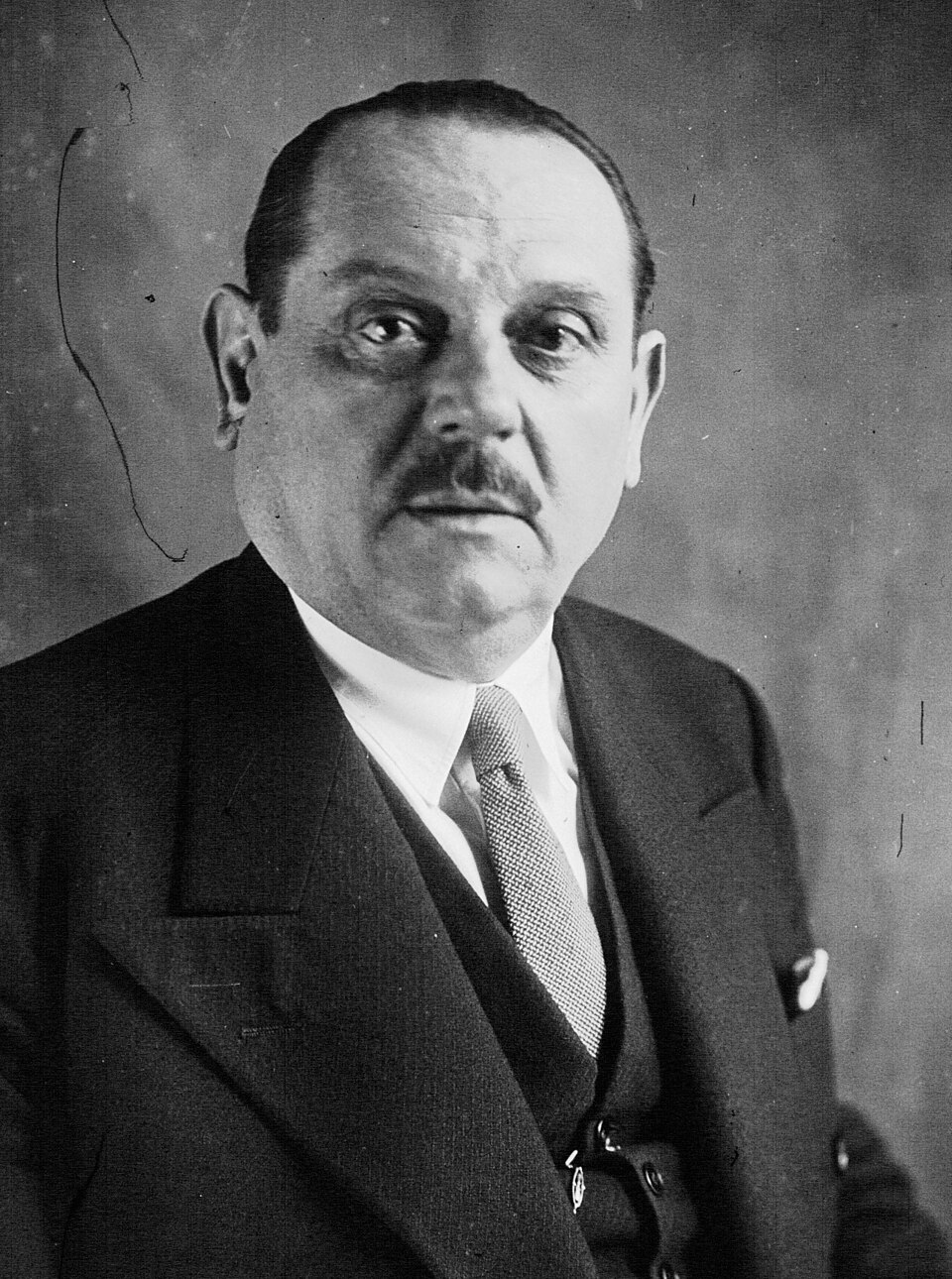Gaston Poittevin – portrait