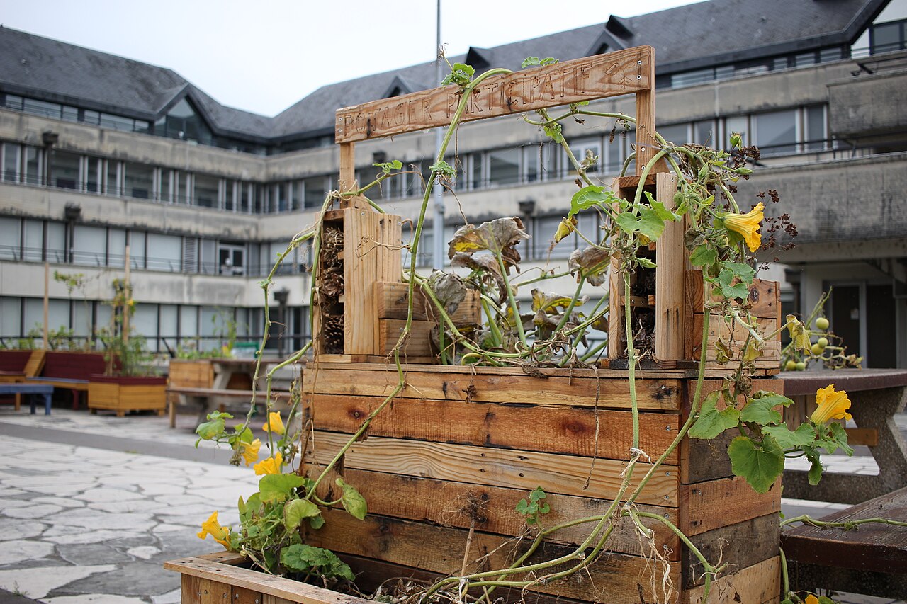 Georges Lerbet – Tours - Université François Rabelais - Jardin participatif Tanneurs 2017 (02)