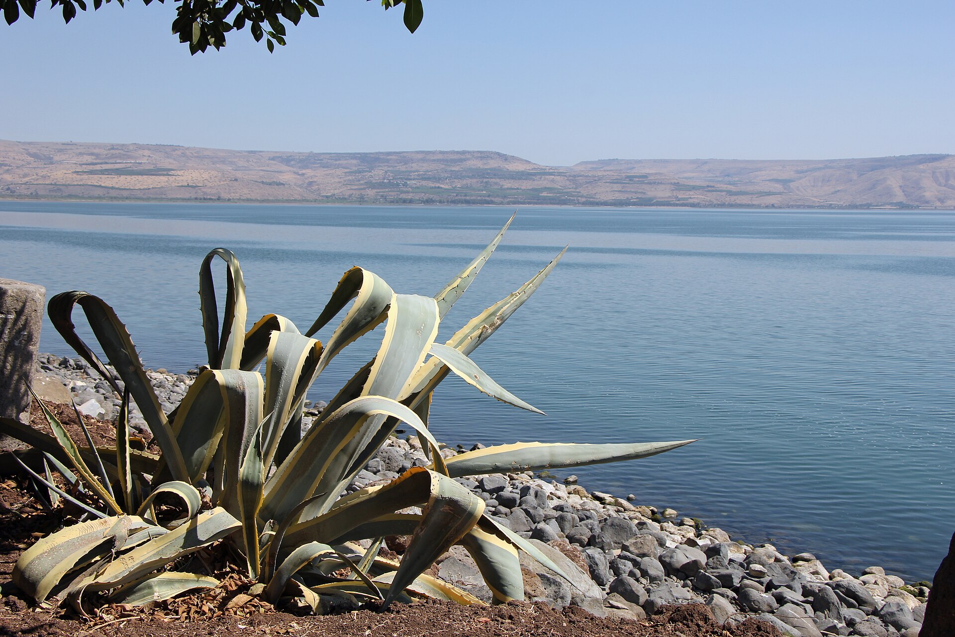 Le lac de Tibériade vu de Capharnaüm