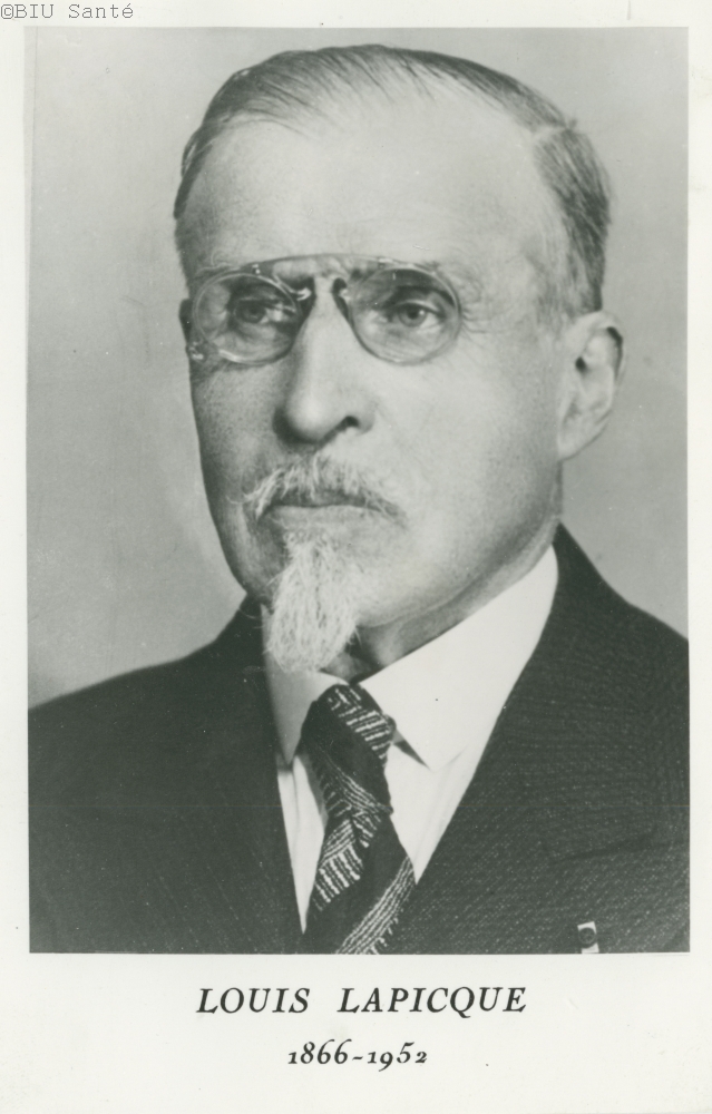 Louis Lapicque – portrait