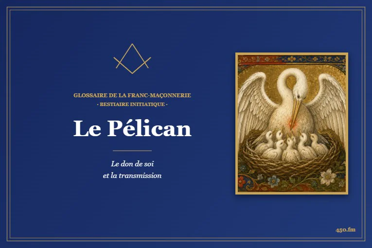 Le Pélican – Bestiaire initiatique du Glossaire de la franc-maçonnerie 450.fm