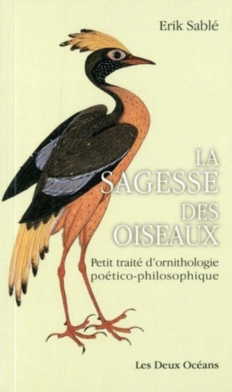 Couverture du livre Sagesse des oiseaux