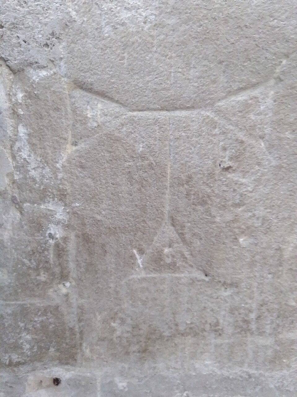 Tau